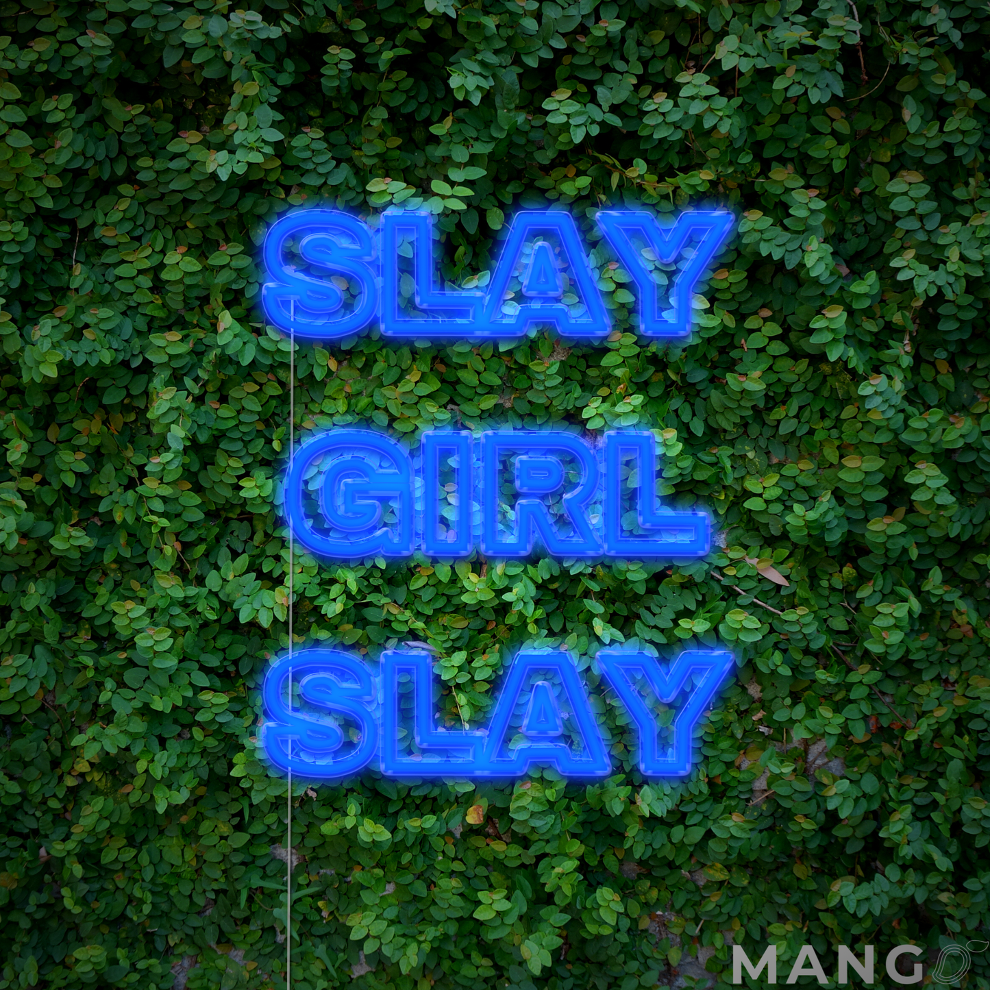 Slay Girl Slay™ Beauty Salon LED Neon Sign